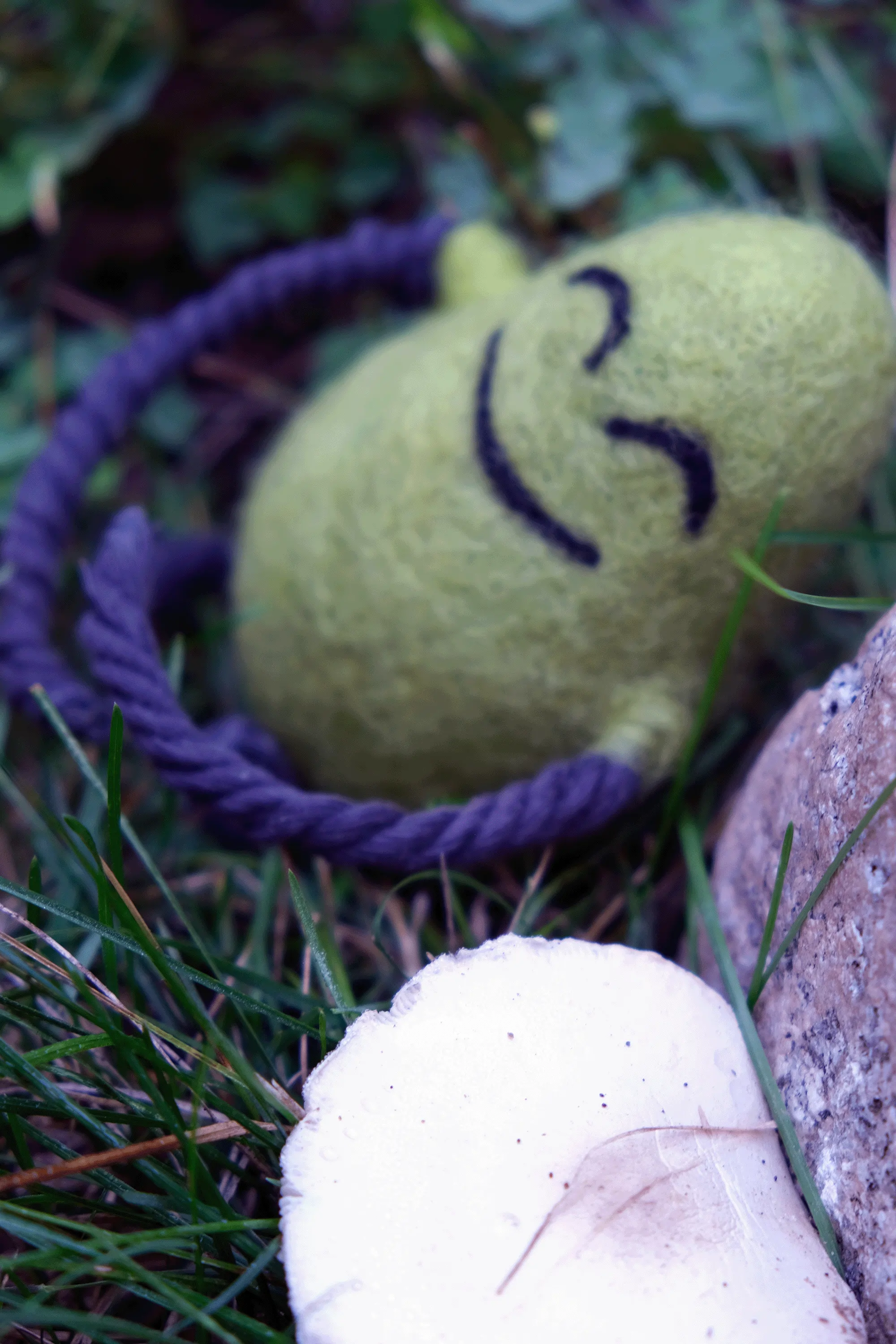 A felted Cloudia chilling next to a mushroom.